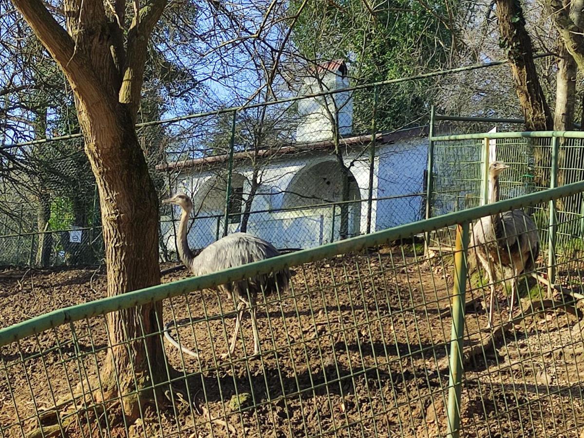 Polonezkoey Country Club & Accommodation In The Wildlife Park! Istambul Exterior foto