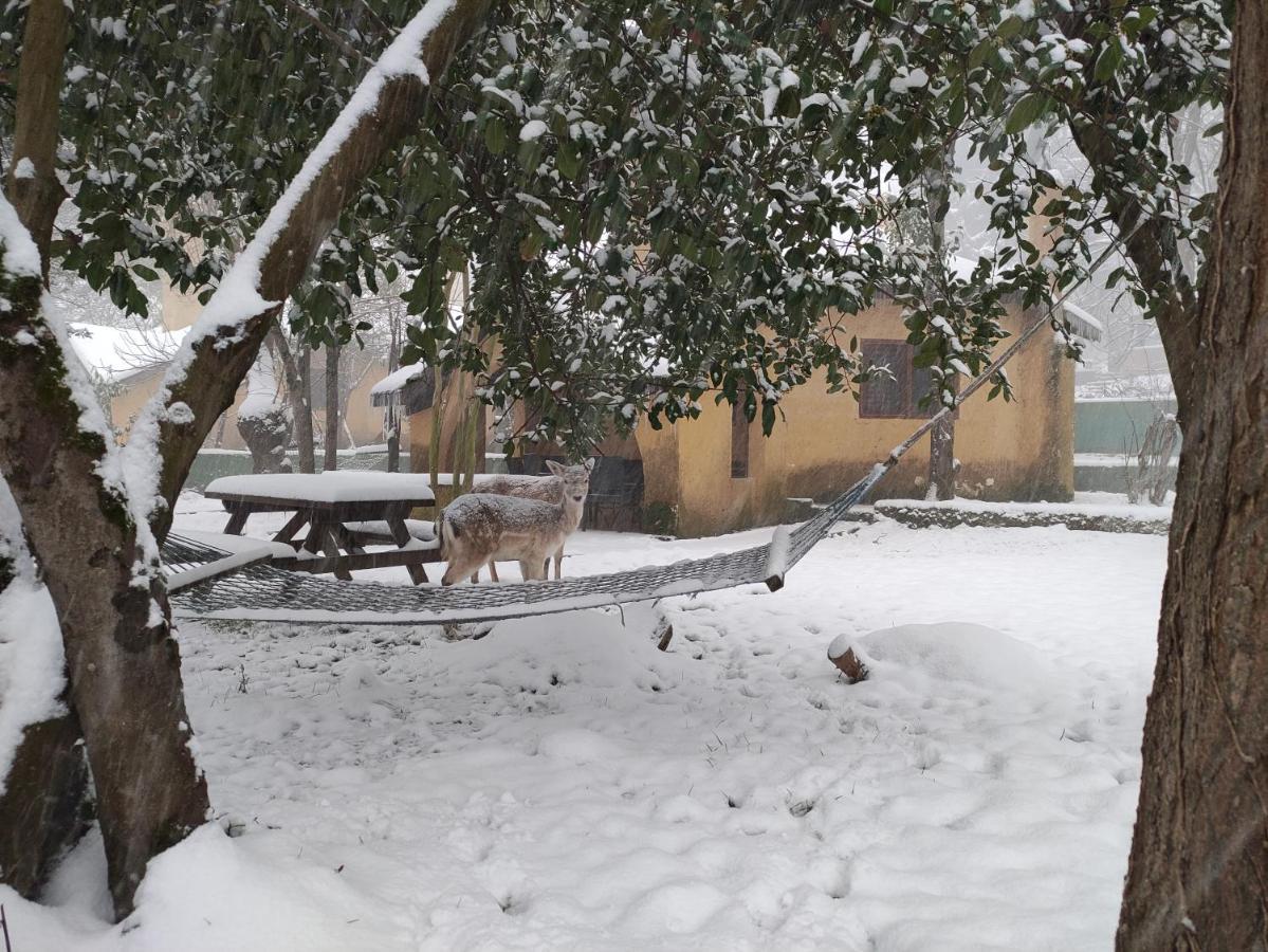 Polonezkoey Country Club & Accommodation In The Wildlife Park! Istambul Exterior foto