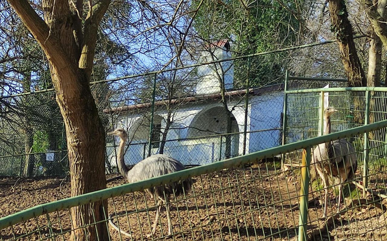 Polonezkoey Country Club & Accommodation In The Wildlife Park! Istambul Exterior foto