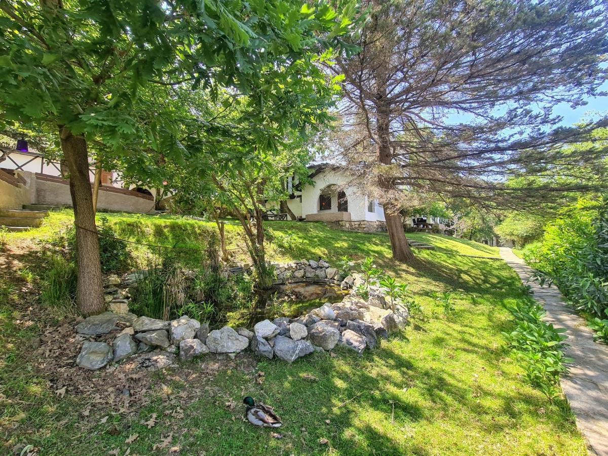 Polonezkoey Country Club & Accommodation In The Wildlife Park! Istambul Exterior foto