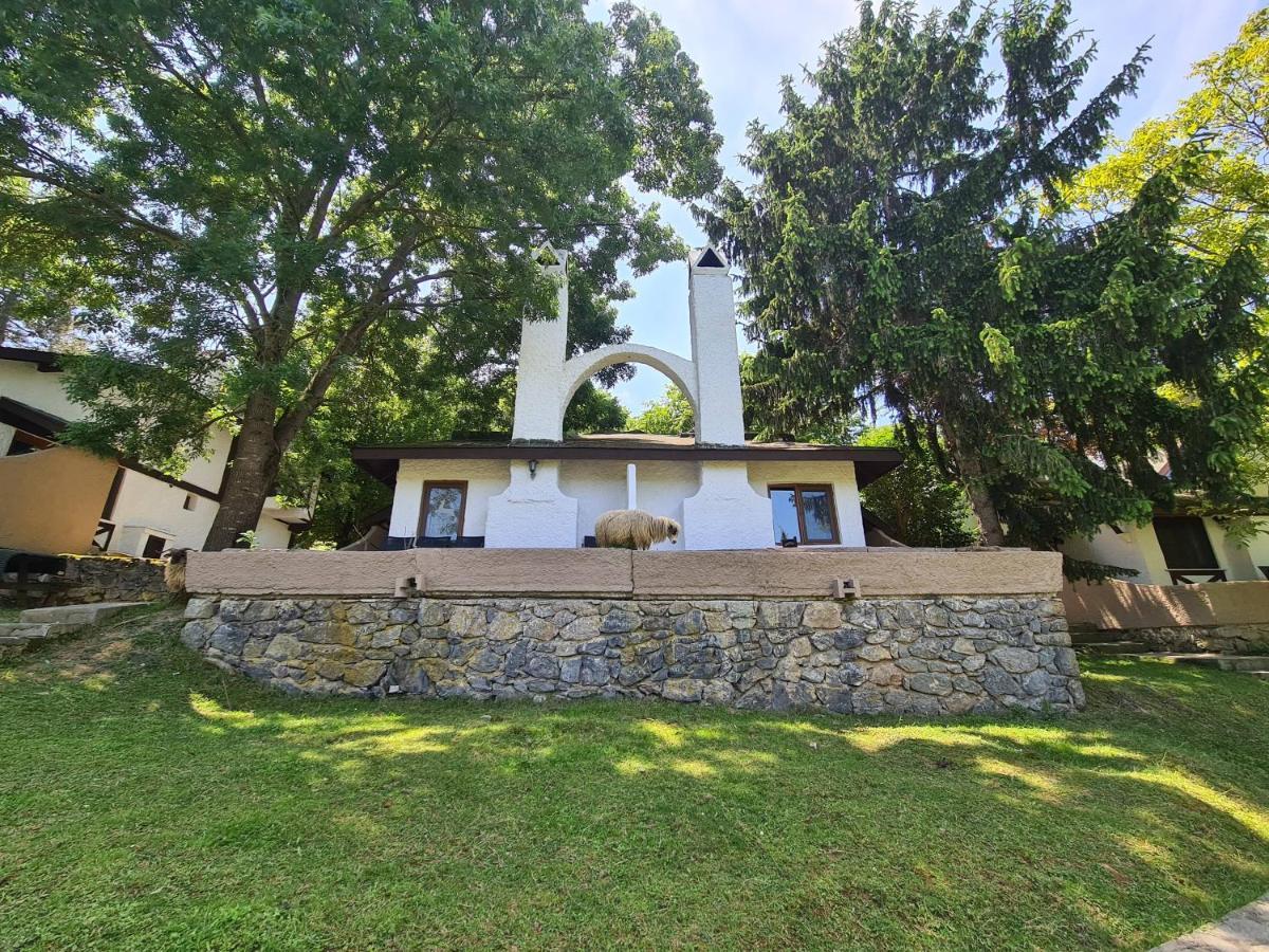 Polonezkoey Country Club & Accommodation In The Wildlife Park! Istambul Exterior foto