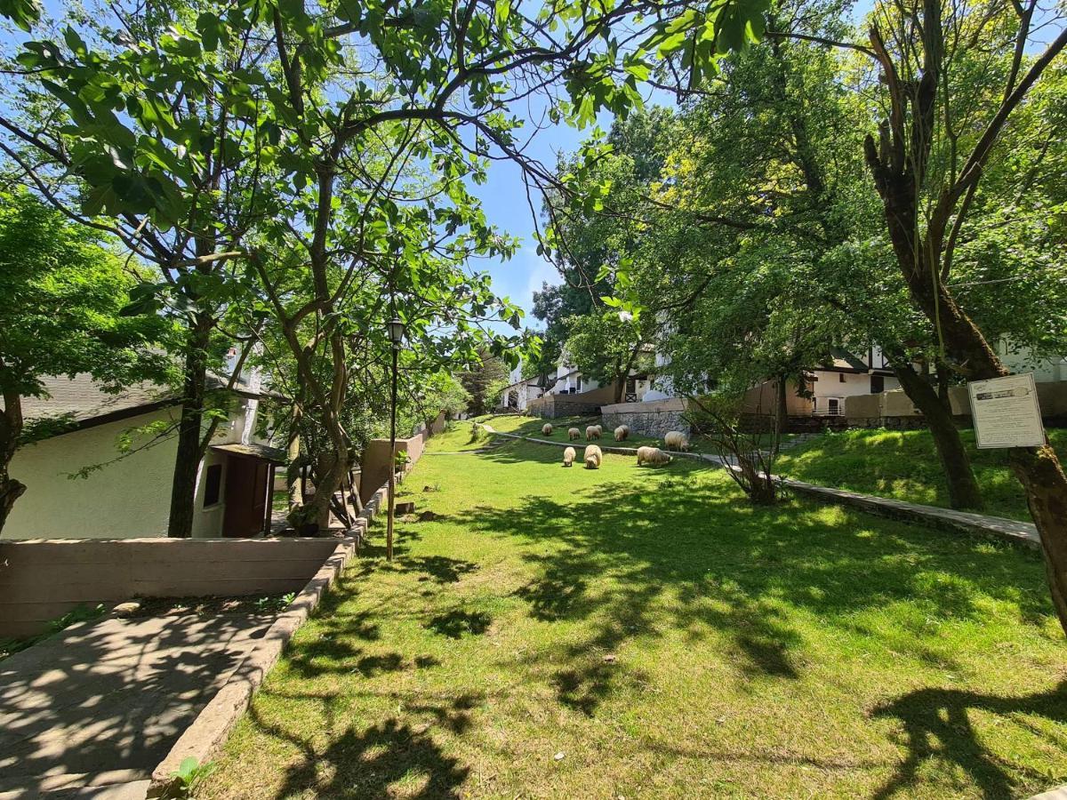 Polonezkoey Country Club & Accommodation In The Wildlife Park! Istambul Exterior foto